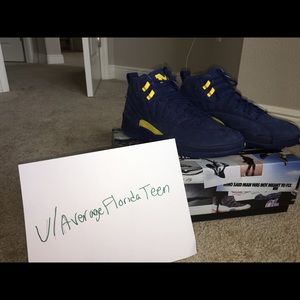 Michigan Jordan 12